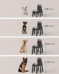 Adjustable Elevated Pet Bowl Stand - Stable Anti-Slip