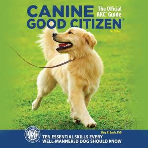 Canine Good Citizen: Essential Skills for Dogs