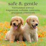 Burt's Bees Puppy Tear-Free Shampoo and Conditioner