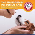 Arm & Hammer Dog Tartar Control Kit - Beef Flavor