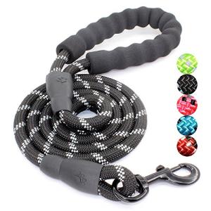 BAAPET Reflective Dog Leash with Padded Handle - Black