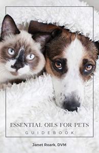 Guide to Essential Oils for Dogs