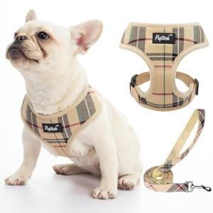 PUPTECK Mesh Dog Harness and Leash Set