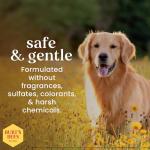Burt's Bees Dog Oatmeal Conditioner - Natural & Hypoallergenic