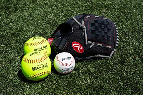 Rawlings | Renegade Glove Series | Baseball/Slowpitch Softball | Multiple Styles, 13 inch, Basket Web