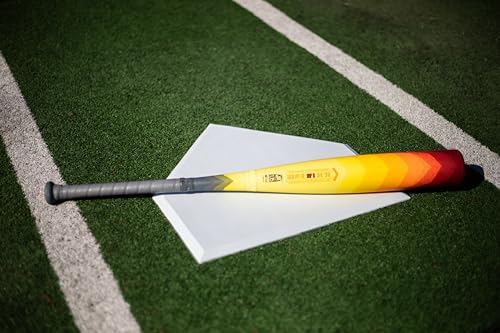 Easton HYPE FIRE Baseball Bat USSSA 2 3/4" Barrel 28" -10