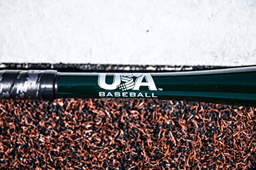 Rawlings Raptor USA Baseball Bat | -10 | 27 inch