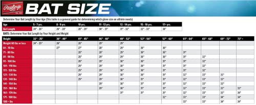 Rawlings Raptor USA Baseball Bat | -10 | 27 inch