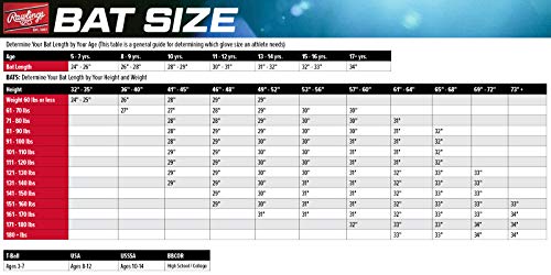 Rawlings Chaos Youth Baseball Bat -11 | 26