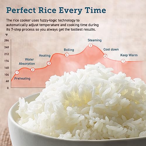 COSORI 18-in-1 Stainless Steel Rice Cooker, 10 Cup