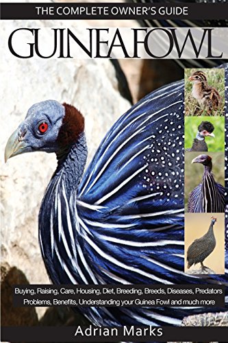 Ultimate Homesteader's Manual: Guinea Fowl Ownership