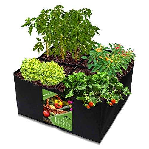 Durable Fabric Raised Garden Bed for Vegetables and Flowers