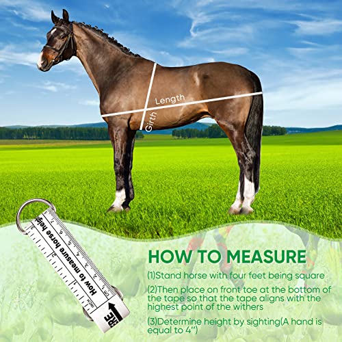 Portable Horse Measuring Tape - Height & Weight