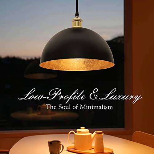 Vintage Black and Gold Pendant Light Fixture