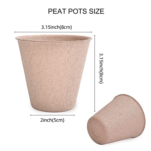 100-Pack Biodegradable Peat Pots with Label