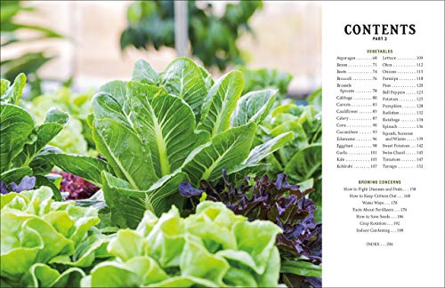 Homesteader's Vegetable Gardening Guidebook