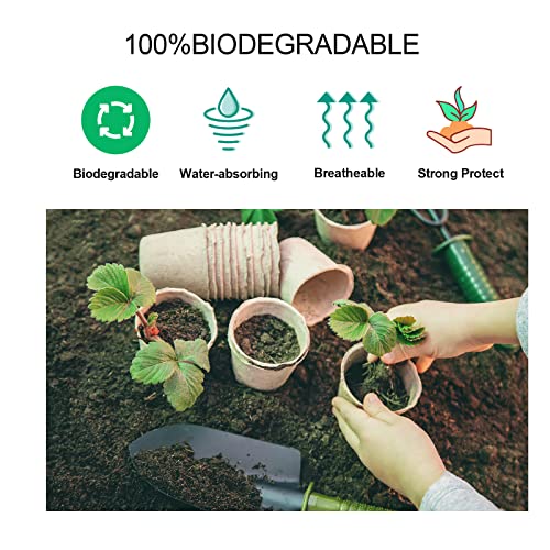 100-Pack Biodegradable Peat Pots with Label