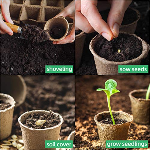 100-Pack Biodegradable Peat Pots with Label