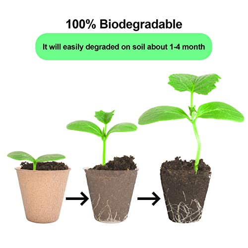 100-Pack Biodegradable Peat Pots with Label