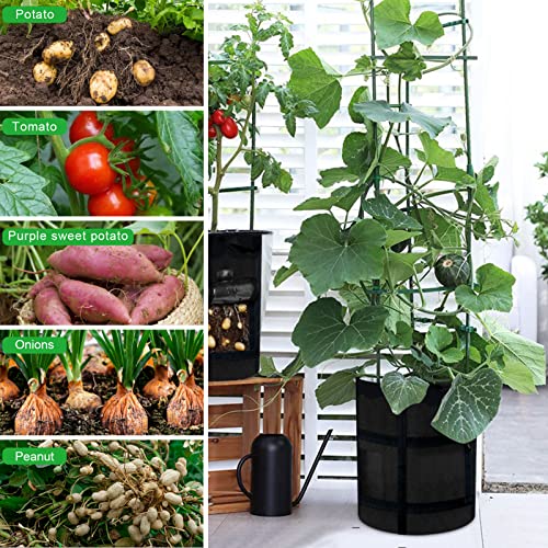 4-Pack 10 Gallon Grow Bags with Harvest Window