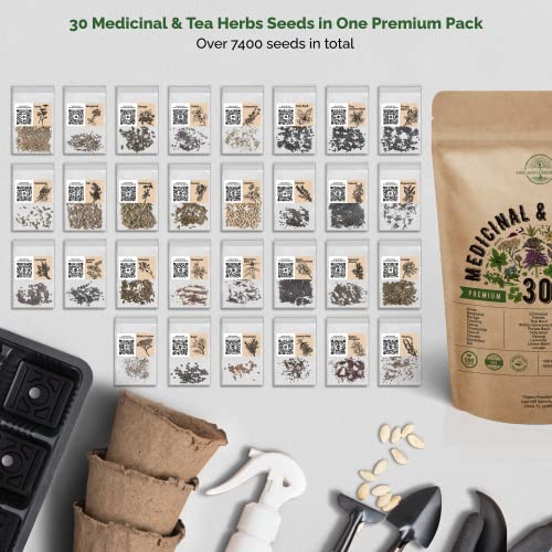 30 Medicinal & Tea Herb Seeds Variety Pack