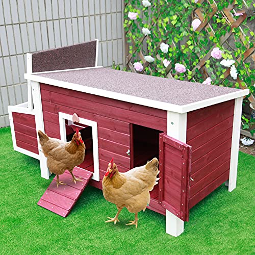 Petsfit Outdoor Chicken Coop with Removable Bottom