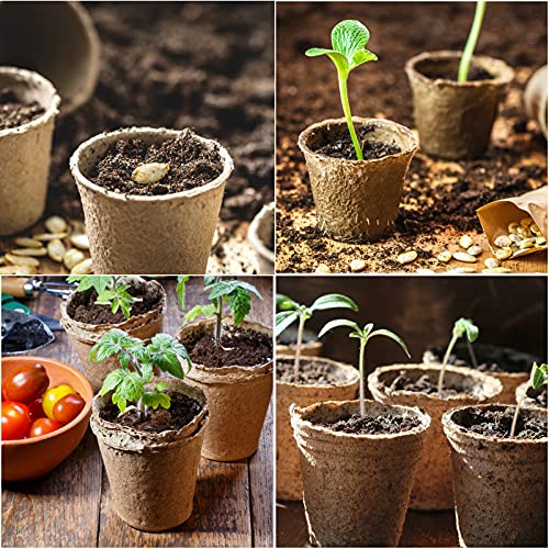 100-Pack Biodegradable Peat Pots with Label