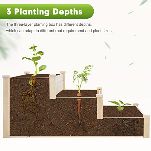 Outdoor Wooden Raised Garden Bed Planter Kit - 3 Tier