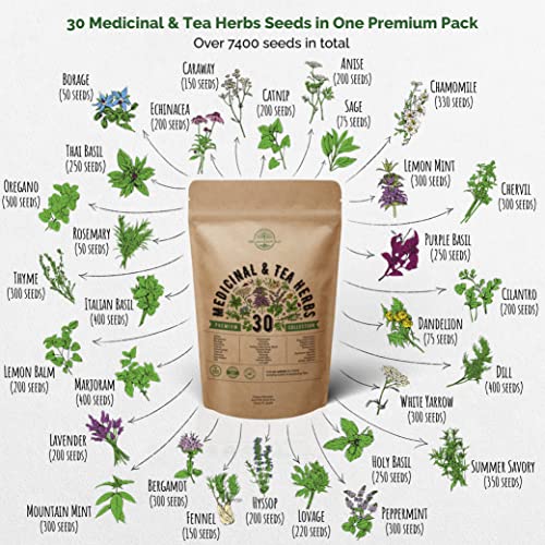 30 Medicinal & Tea Herb Seeds Variety Pack