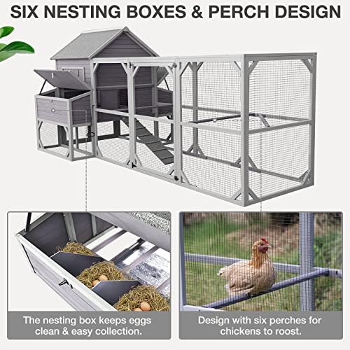 Extra Large Outdoor Chicken Coop for 10 Chickens