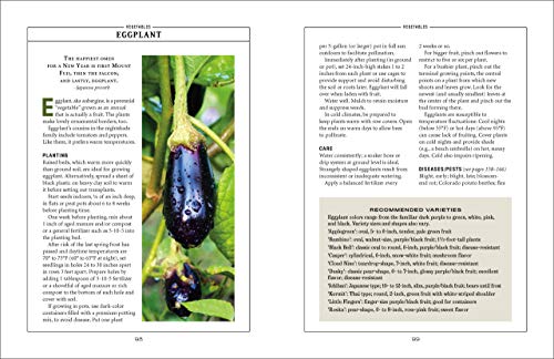 Homesteader's Vegetable Gardening Guidebook