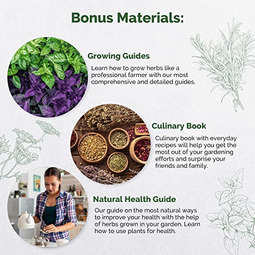 30 Medicinal & Tea Herb Seeds Variety Pack