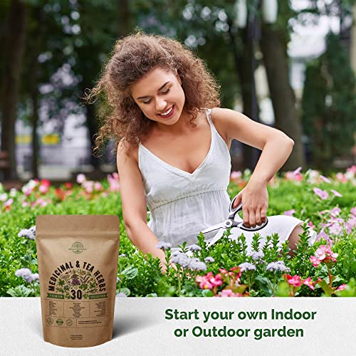 30 Medicinal & Tea Herb Seeds Variety Pack