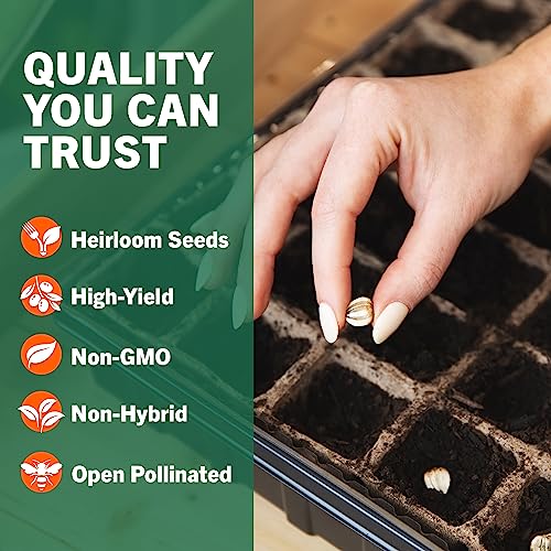 15,000 Non GMO Heirloom Vegetable Seeds - Homesteading Kit