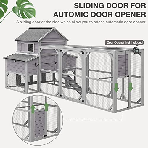 Extra Large Outdoor Chicken Coop for 10 Chickens