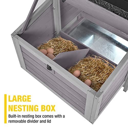Large Outdoor Chicken Coop with Two Nesting Boxes
