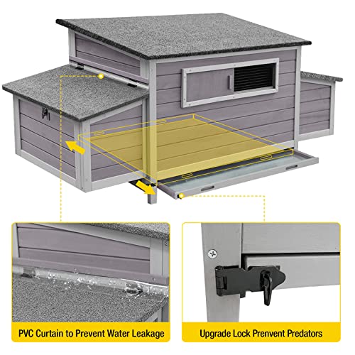 Large Outdoor Chicken Coop with Two Nesting Boxes