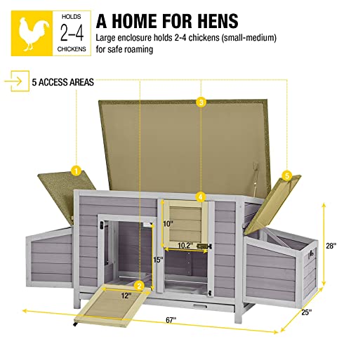 Large Outdoor Chicken Coop with Two Nesting Boxes