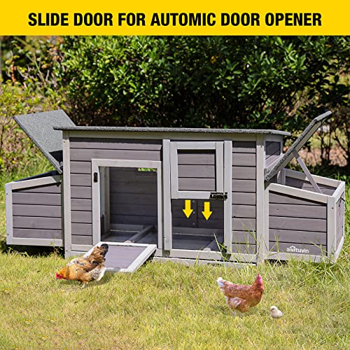 Large Outdoor Chicken Coop with Two Nesting Boxes