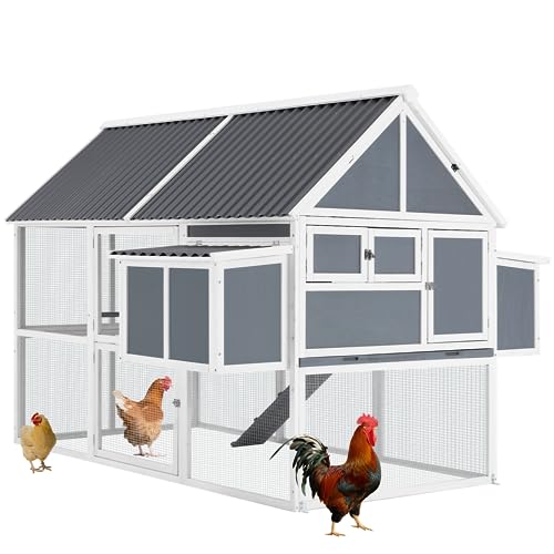 Outdoor Wooden Hen House with Multi-Level Hutch
