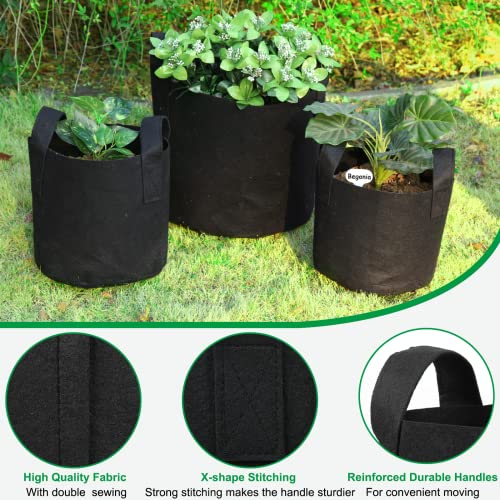 12-Pack JERIA Aeration Grow Bags with Plant Labels
