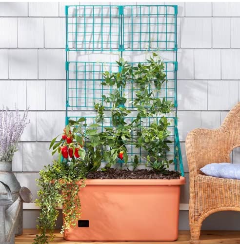 Mobile Vegetable Planter Box with Trellis