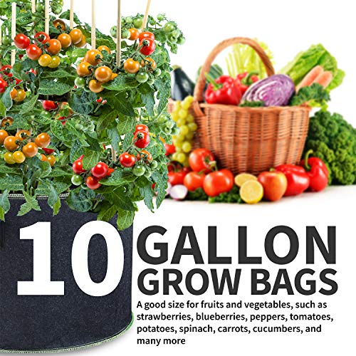 Garnen 10 Gallon Grow Bags (5 Packs)