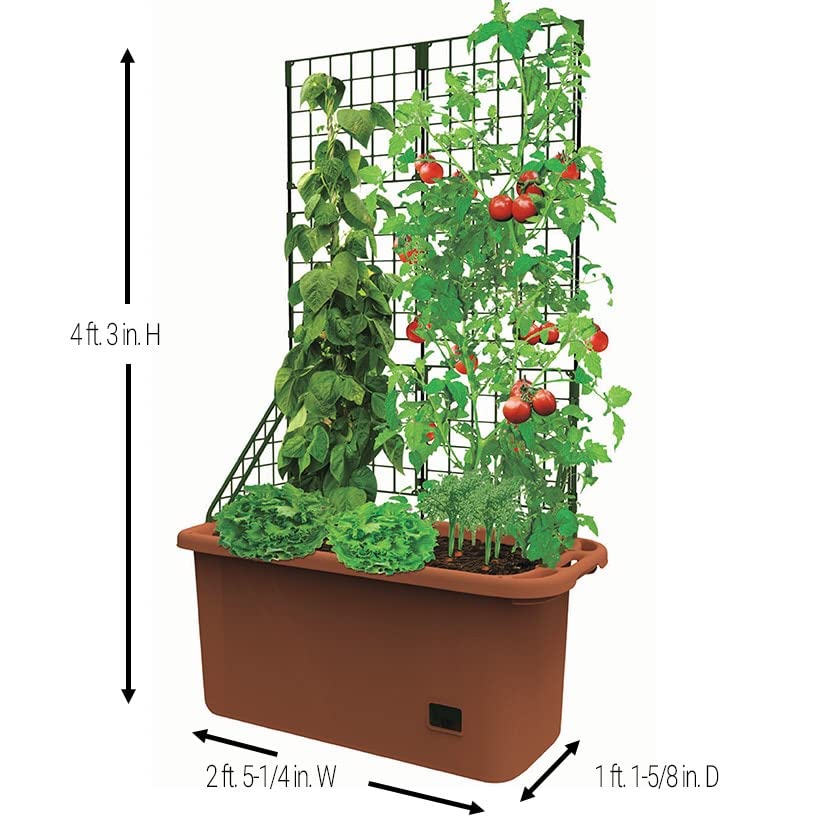 Mobile Vegetable Planter Box with Trellis