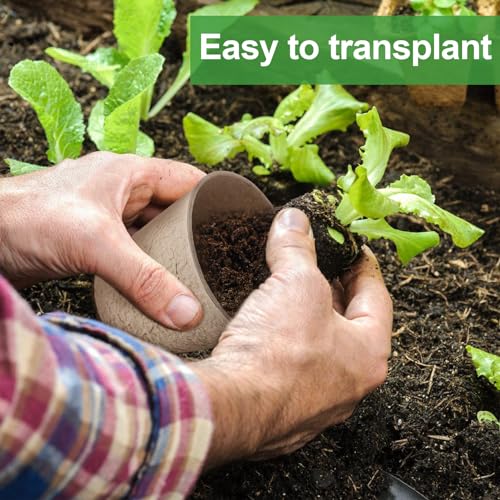 Biodegradable Peat Pots with Plant Markers - Homesteading