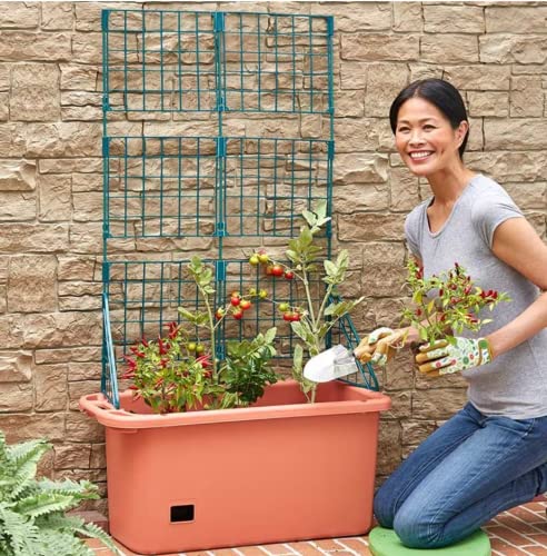 Mobile Vegetable Planter Box with Trellis