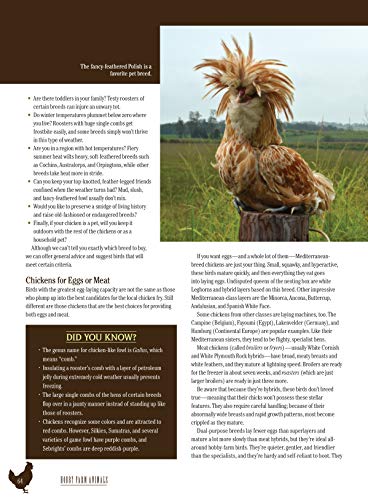 Homesteader's Guide to Raising Hobby Farm Animals