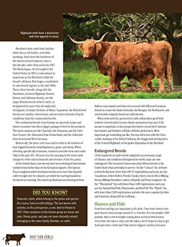 Homesteader's Guide to Raising Hobby Farm Animals