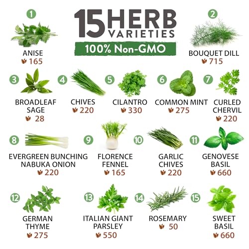 15 Heirloom Culinary Herb Seeds with High Germination