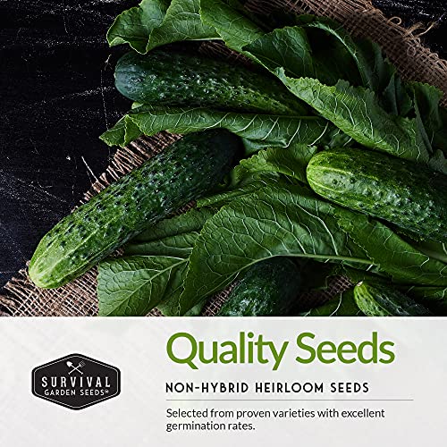 Non-GMO Heirloom Vegetable Seed Collection - 15 Varieties
